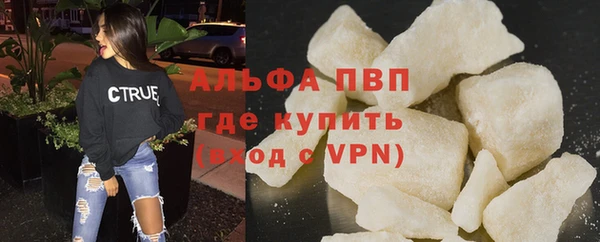 стафф Коряжма