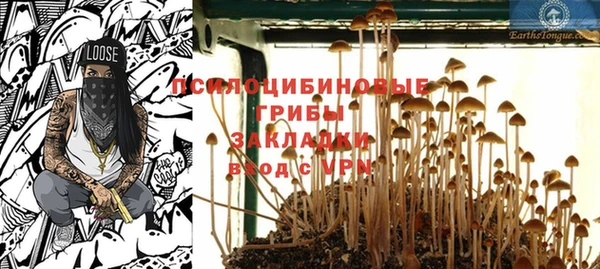 тгк Краснослободск