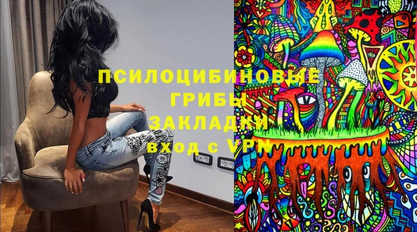 соль ск Козельск