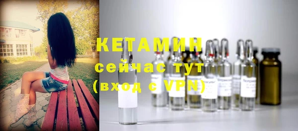 сатива Козловка