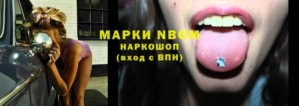 ГАЛЛЮЦИНОГЕННЫЕ ГРИБЫ Костерёво