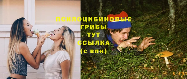 стафф Коряжма