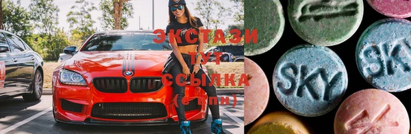 стафф Коряжма