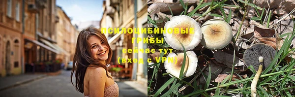 стафф Краснотурьинск