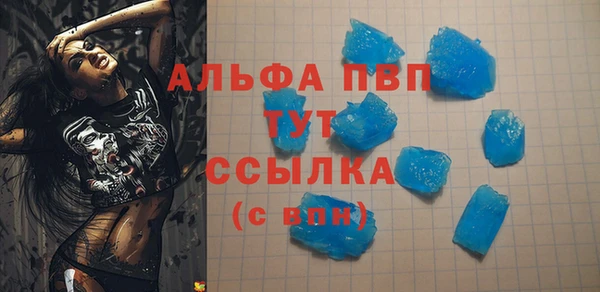 стафф Коряжма
